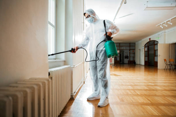 Best Mosquito Control Services  in Farmington, MO